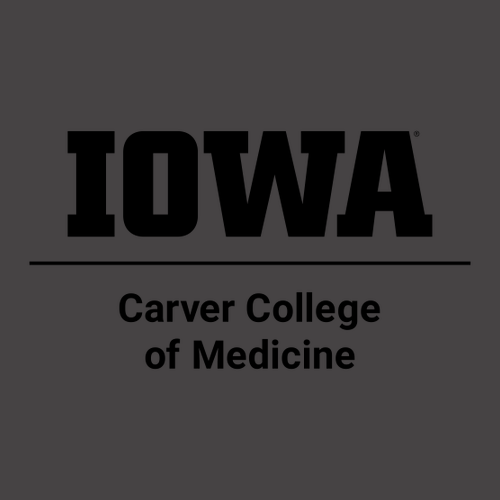 Comfort Colors Ringspun Long Sleeve Tee -- Grey