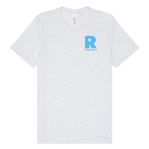 Bella Canvas Unisex Jersey T-Shirt -- Ash -- Romanoff