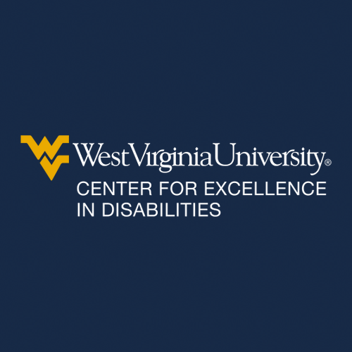 Sport Tek Ladies Quarter Zip Sweatshirt -- True Navy