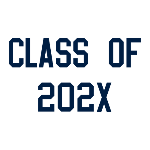 Gildan Ultra Cotton Basic T-Shirt -- White