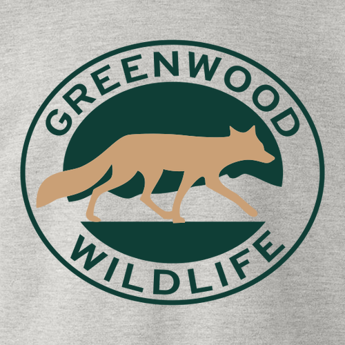 Gildan Heavy Cotton Longsleeve Basic T-Shirt -- Ash