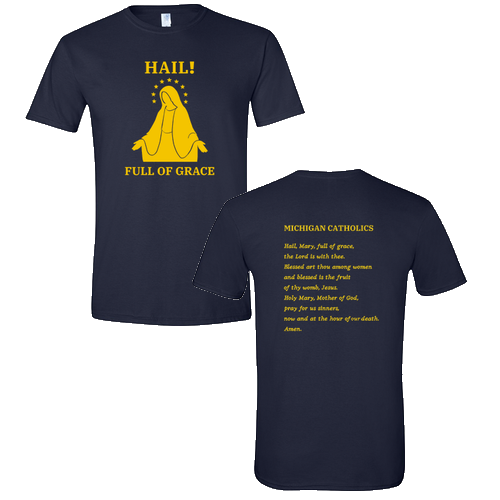 Hail! SoftStyle T-Shirt -- Navy