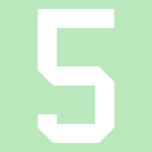 Brown, Hill and Parra 5th Grade Class Mint Green- Adult size