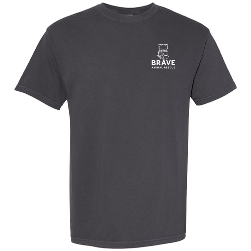 Brave Heavyweight Tee -- Graphite
