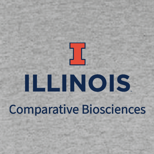 Gildan SoftStyle Fitted T-Shirt -- Sport Grey