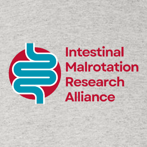 Gildan Heavy Blend Hooded Sweatshirt -- Ash