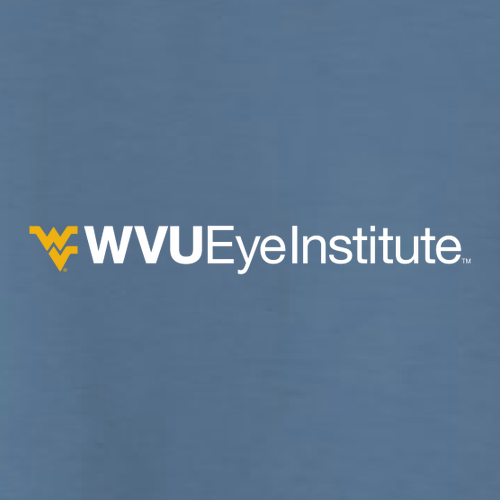 Gildan Heavy Blend Crew Neck Sweatshirt -- Indigo Blue