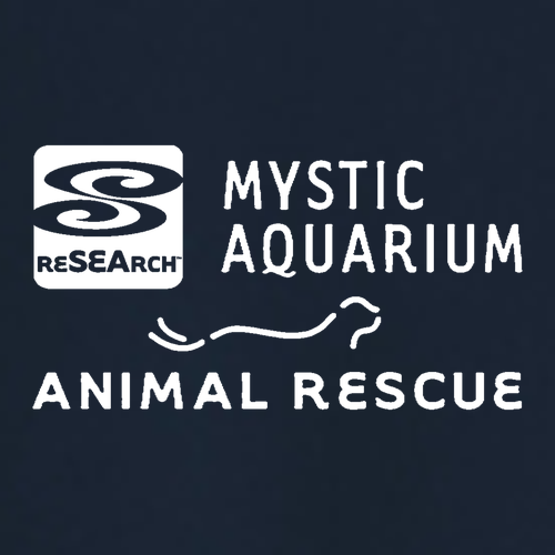 Mystic Aquarium 3-in-1 Jacket -- River Blue Navy