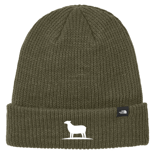 Discontinued The North Face Truckstop Beanie -- New Taupe Green