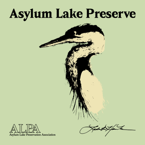 Gildan Ladies Fashion Fit T-Shirt -- Pistachio