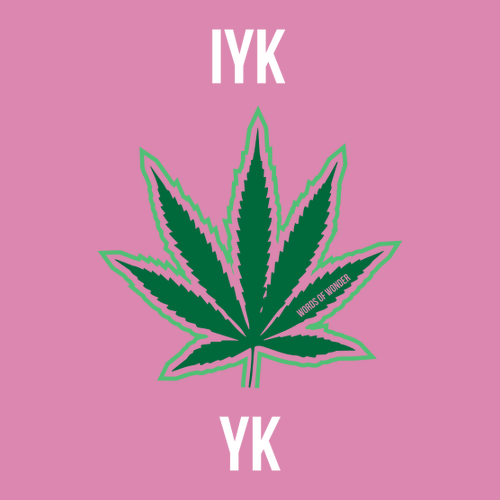 IYKYK Ladies T-Shirt -- Pink