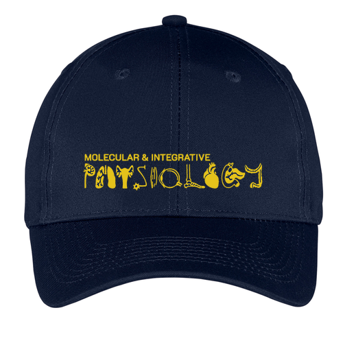 Mens/Unisex Port and Company 6-panel Twill Hat -- Navy