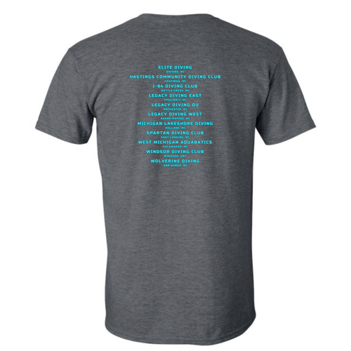 Gildan SoftStyle T-Shirt -- Dark Heather