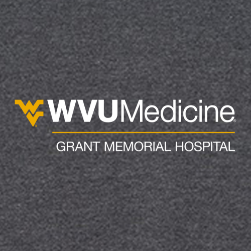 Gildan SoftStyle Fitted T-Shirt -- Dark Heather