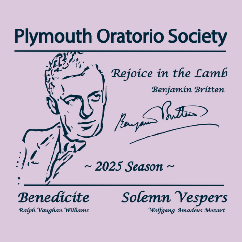 Gildan Ultra Cotton Basic T-Shirt -- Orchid