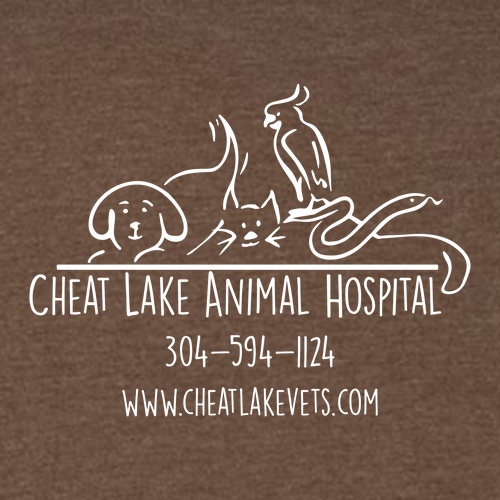 Bella+Canvas Unisex Heather Cvc Long Sleeve Tee- Heathers -- Heather Brown