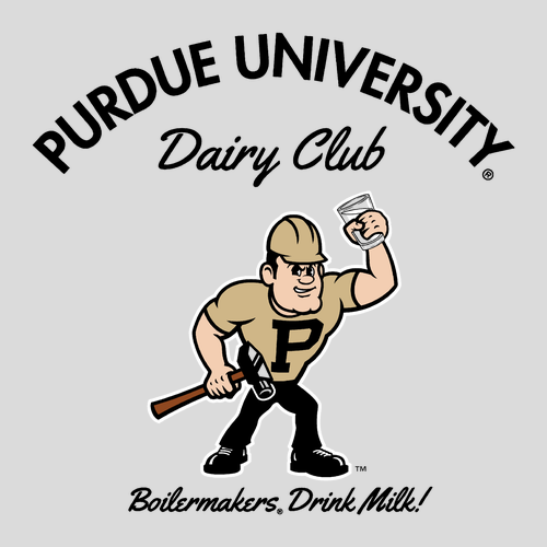 Gildan Ice Grey T-Shirt