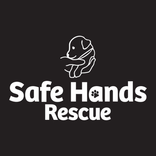 District Women's Perfect Tri Fleece Jogger -- Black