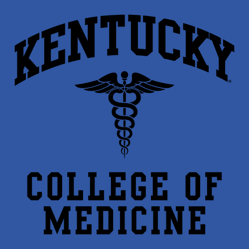 Gildan Heavy Cotton Basic T-Shirt -- Royal