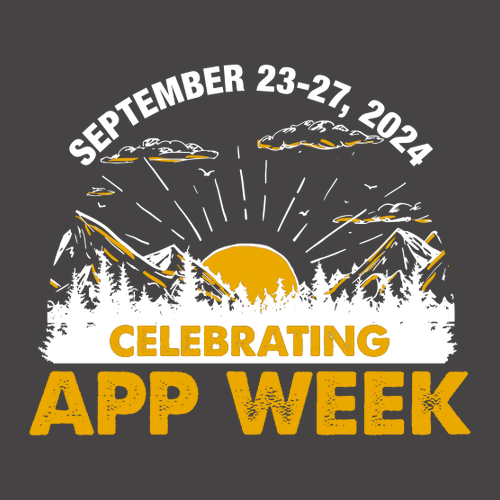 District Made Ladies Perfect Weight Crew Tee -- Charcoal