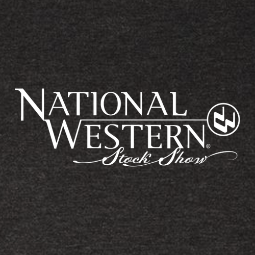 Next Level Mens TriBlend Tee -- Vintage Black