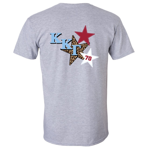 Gildan SoftStyle T-Shirt -- Sport Grey