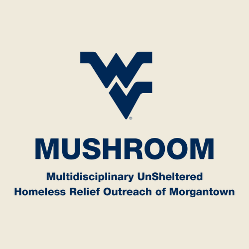 Gildan SoftStyle T-Shirt -- Off White