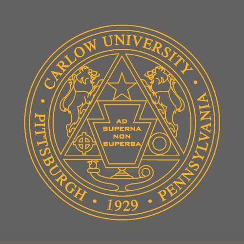 Gildan Ultra Cotton T-Shirt with Pocket -- Charcoal