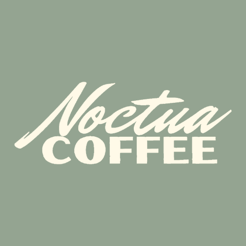 Comfort Colors Heavyweight Adult T-Shirt -- Sage