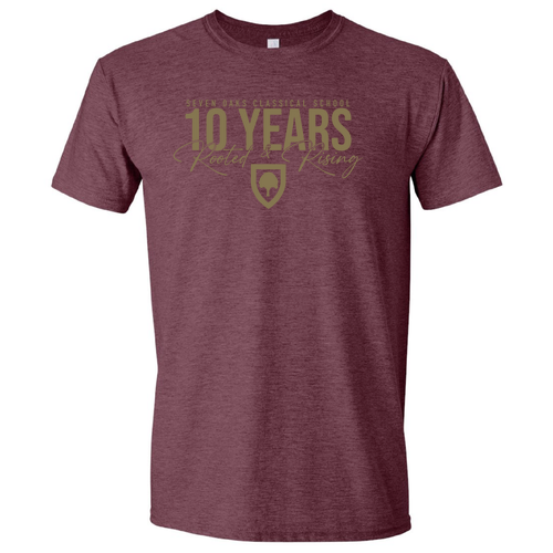 Gildan SoftStyle Adult T-Shirt -- Heather Maroon