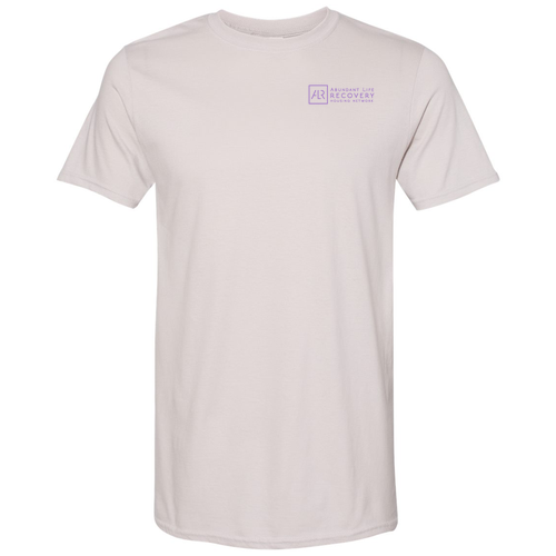 Gildan SoftStyle T-Shirt -- Ice Grey