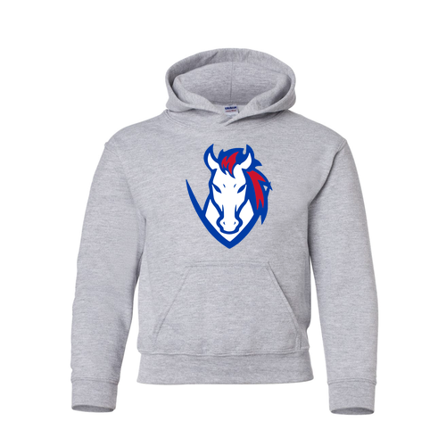 Youth CV Colts Hoodie -- Sport Grey