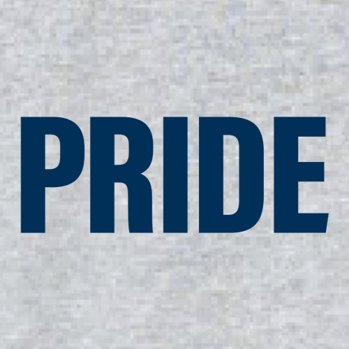 Gildan SoftStyle Fitted T-Shirt -- Sport Grey