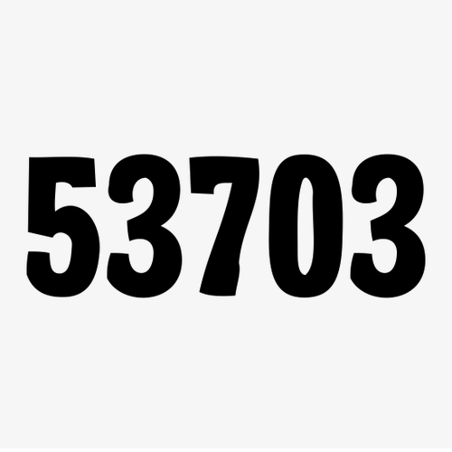 Gildan Heavy Cotton White T-Shirt