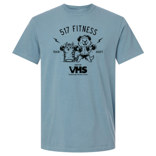 Comfort Colors Heavyweight Adult T-Shirt -- Ice Blue