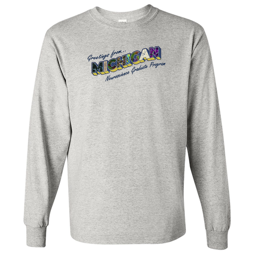 Mens/Unisex Gildan Heavy Cotton Long Sleeve Basic T-Shirt -- Ash