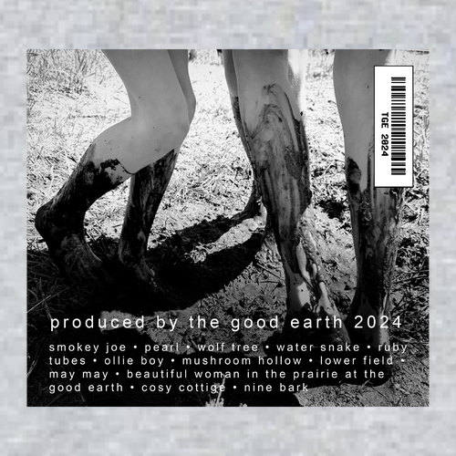 Gildan Adult Softstyle Fleece Pullover Hooded Sweatshirt -- Sport Grey