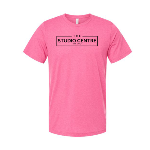 Dance Mens/Unisex Bella Canvas Triblend Short Sleeve T-Shirt -- Charity Pink