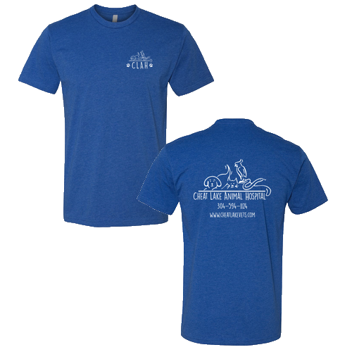Next Level Mens CVC Crew -- Royal