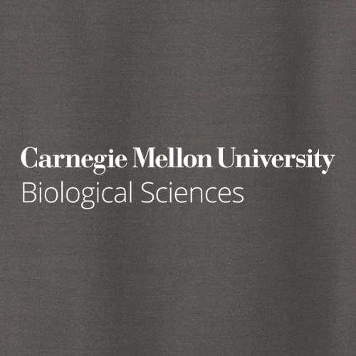 Gildan Heavy Blend Hooded Sweatshirt -- Charcoal