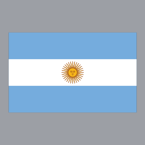 ARGENTINA Performance Tee -- WOMEN'S Silver