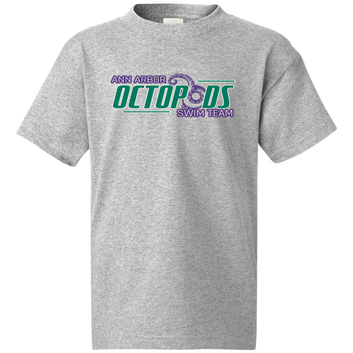 Youth Hanes 6 oz. Authentic-T T-Shirt -- Light Steel, Purple/Green Swim Team