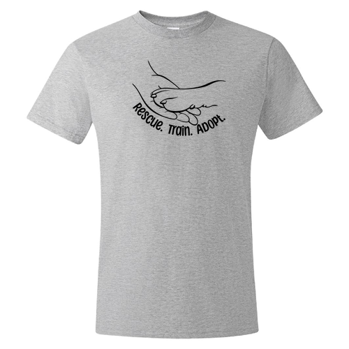 Hanes Perfect-T Ring Spun T-Shirt -- Light Steel