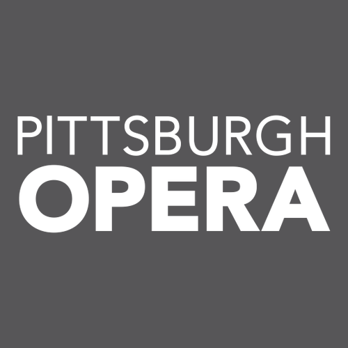 Embroidered Ladies Plaid Flannel Tunic -- Grey / Black