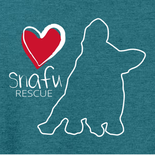 District Womens Perfect Tri Tee -- Heathered Teal