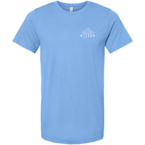Bella Canvas Unisex Jersey T-Shirt -- Carolina Blue