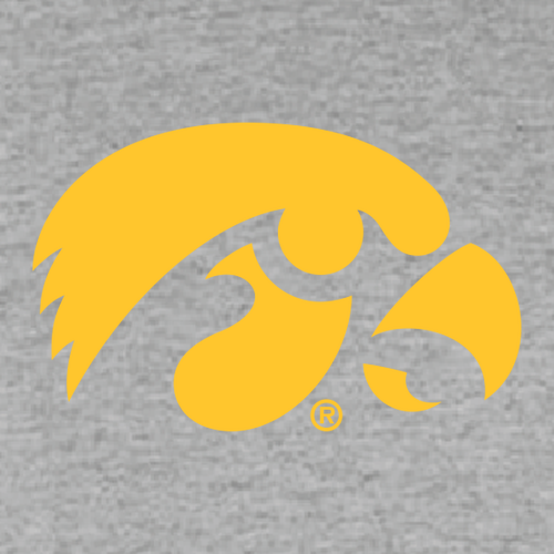 Gildan Softstyle Longsleeve T Shirt -- Sport Grey