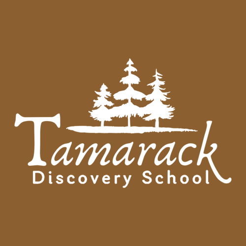 Carhartt Watch Hat 2.0 -- Carhartt Brown