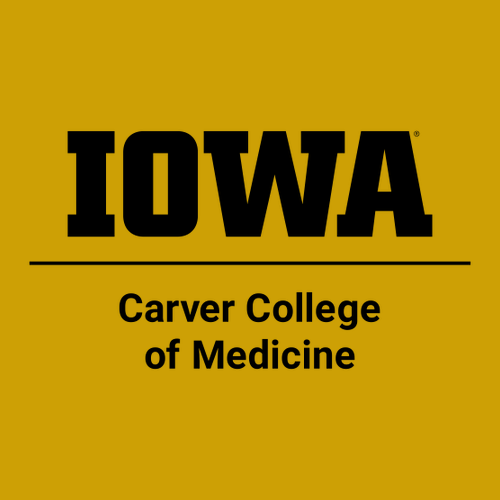 Comfort Colors Ringspun Long Sleeve Tee -- Mustard