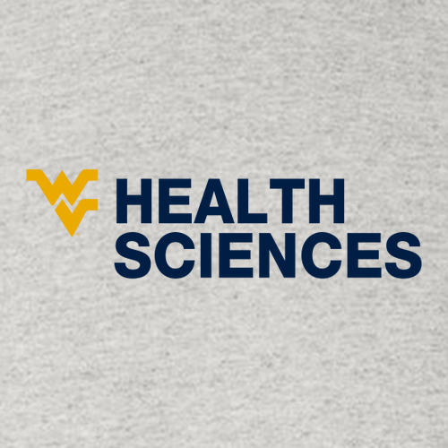 Gildan Heavy Cotton Longsleeve Basic T-Shirt -- Ash